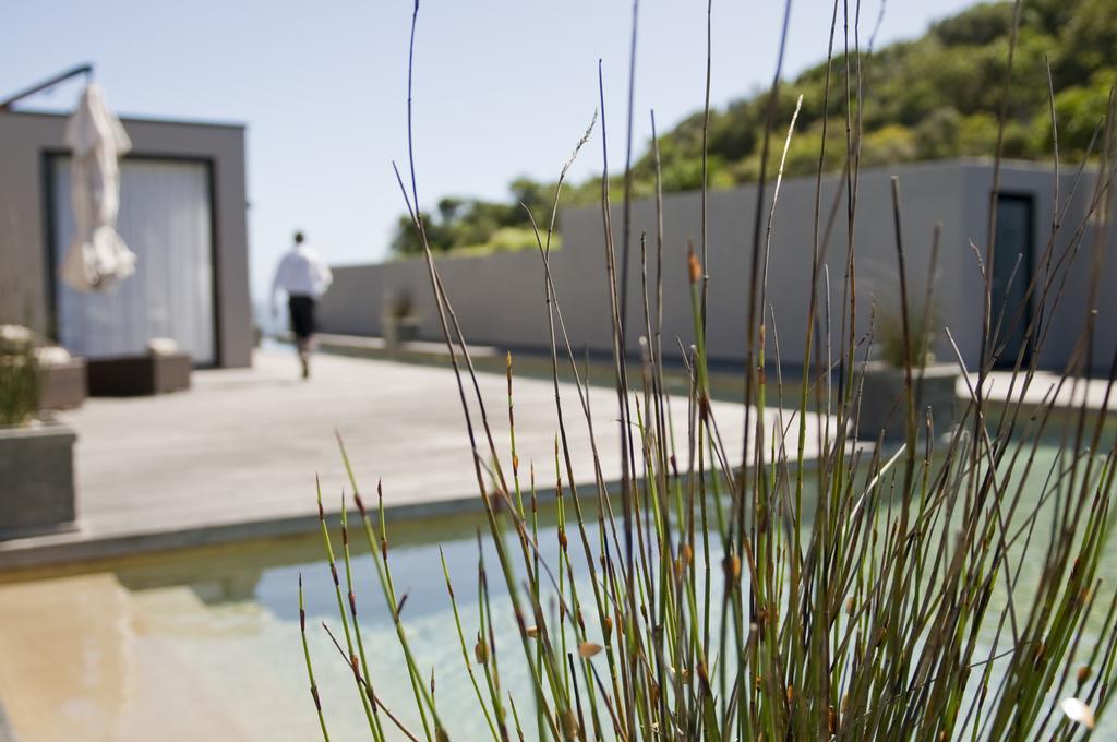 Plettenberg Park Hotel & Spa Plettenbergbaai Buitenkant foto